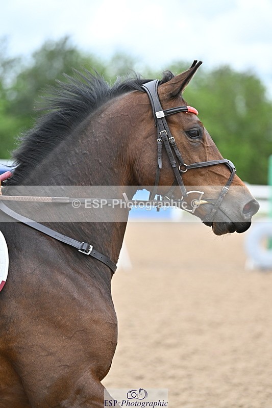 240514A-165035-00135 - 70cm