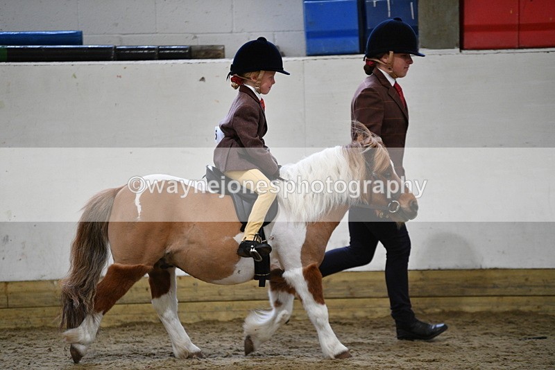 WJ5_6541 - Class 10 Childs Pony