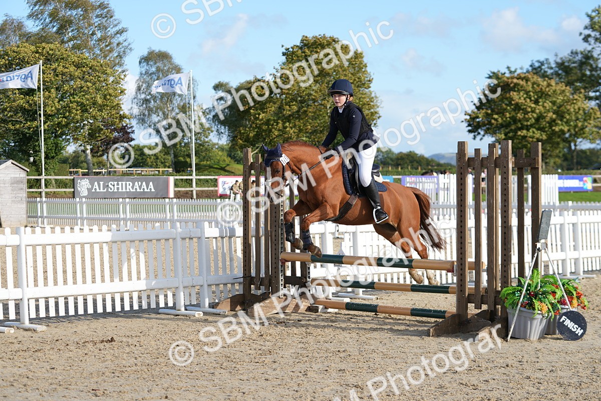 SBM_51001 - J8 - Junior Pony 65cm Championship