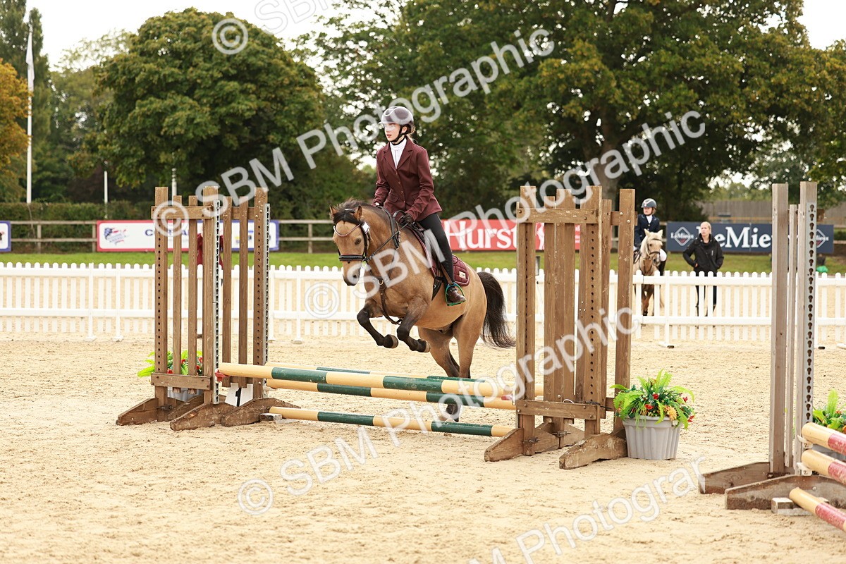 SBM_57837 - J11 - Junior Pony 50cm Championship