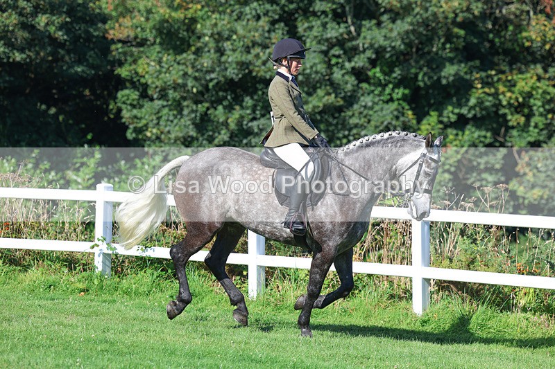 3E7A7834 - Class 2: Open Working Hunter pony