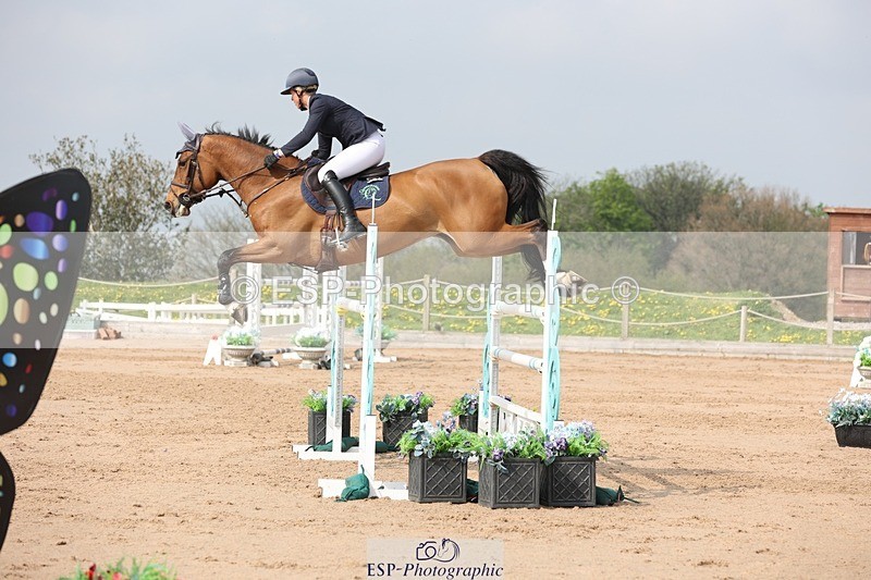 250424-105427-03292 - Cls 33 Young Horse 7yr old