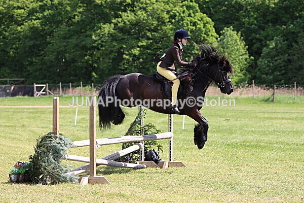 IMG_4288 - Working Hunter