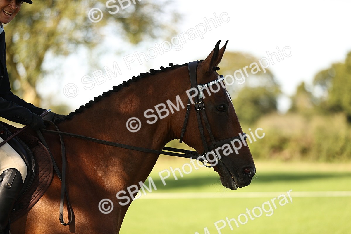 SBM_16952 - S2 - TSR Ridden Pony Showing