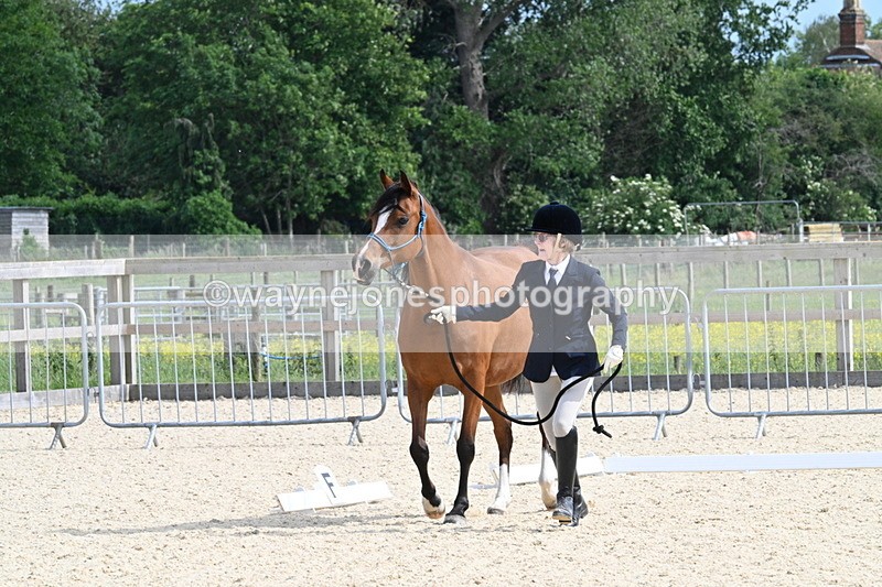 WJ7_8236 - Time 16:10 to 16:25