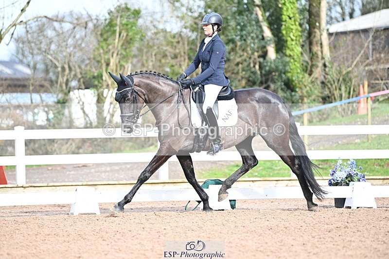 240218A-115635-06919 - 204-Elder.Klatzko-Dynasty.Hit