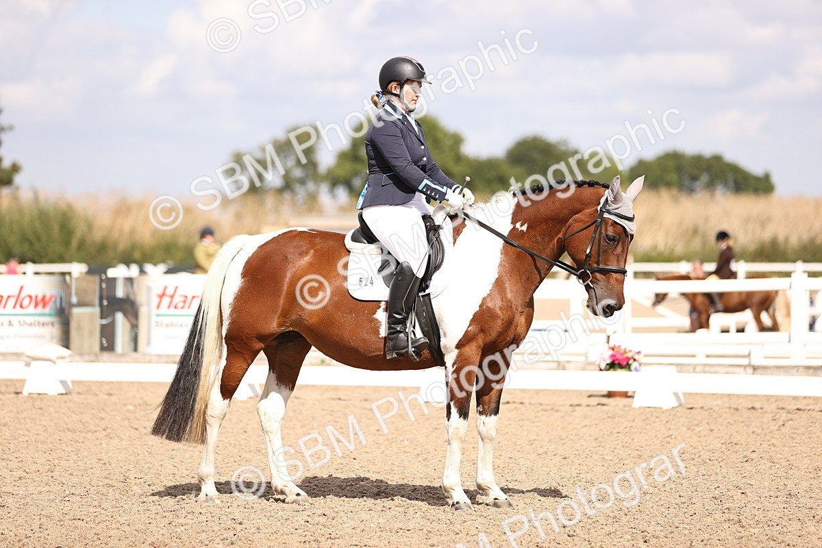 SBM_03731 - CLass 35 Intro 3