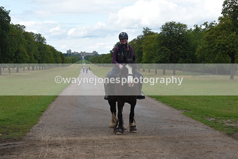 TT3_0441 - Time at Crossing 14:53 to 1526