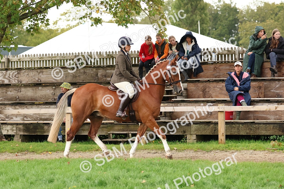 SBM_44967 - S27 - Young Veteran Ridden