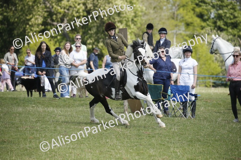 20250427-3602 - Class 14 - Absolute Novice 70cm