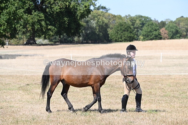 WJ6_9108 - Championship Classes 33-38