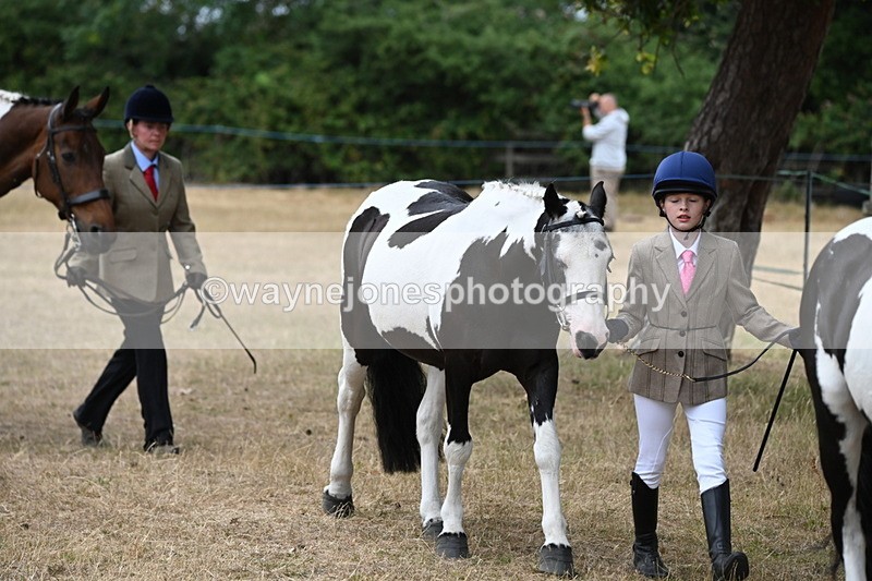 WJ6_7931 - Class 10 Coloured in Hand