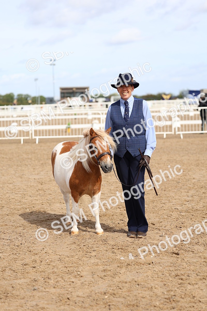 SBM_02385 - Class 19 - Horse or Pony Judge would most like to take home