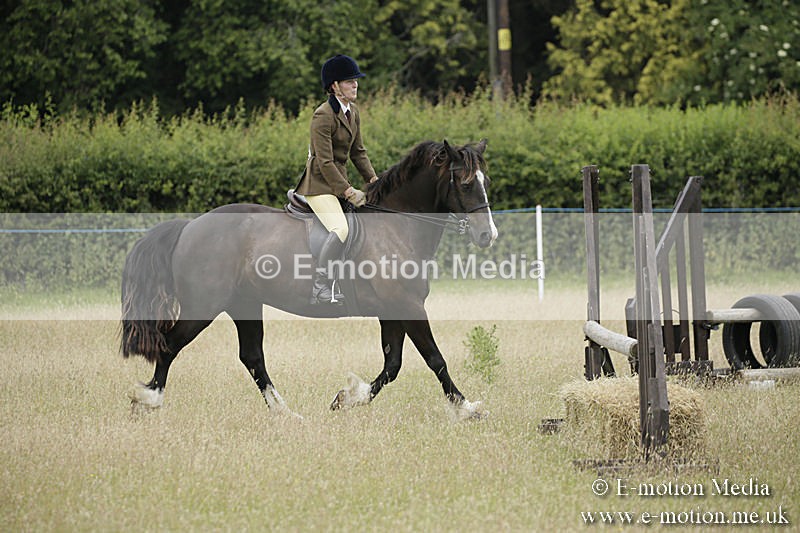 B230619-0092 - Bourne Valley Riding Club Summer Show 23/06/19