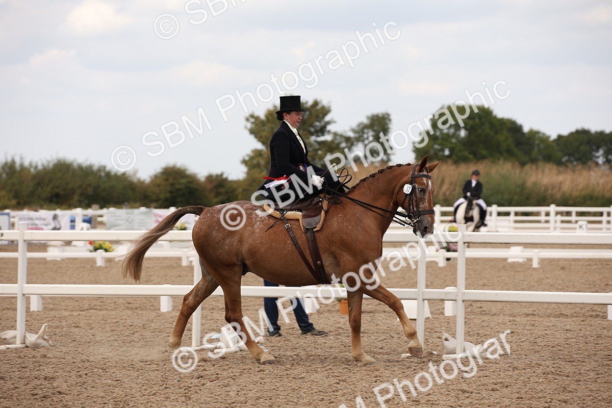 SBM_05527 - Class 22 SSA Equitation