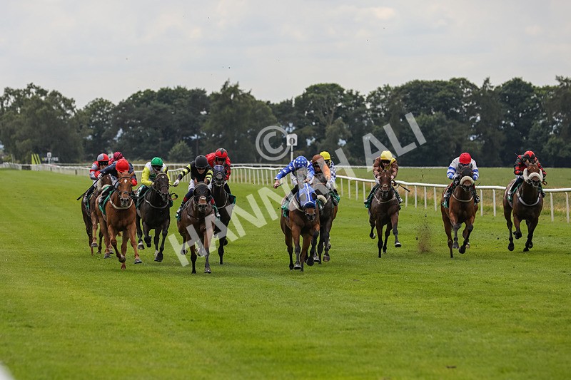 240624-Race 4-Golden Rainbow-0259 - Race 4