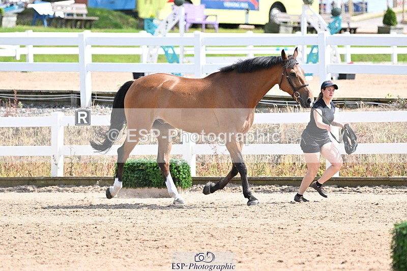 240717A-152301-02798 - Trot Up 3pm to 4pm
