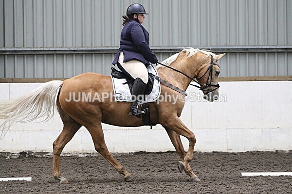 SIAL5490 - CAbin Dressage 5th july 2025