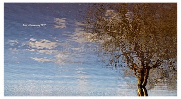  - Art And Nature