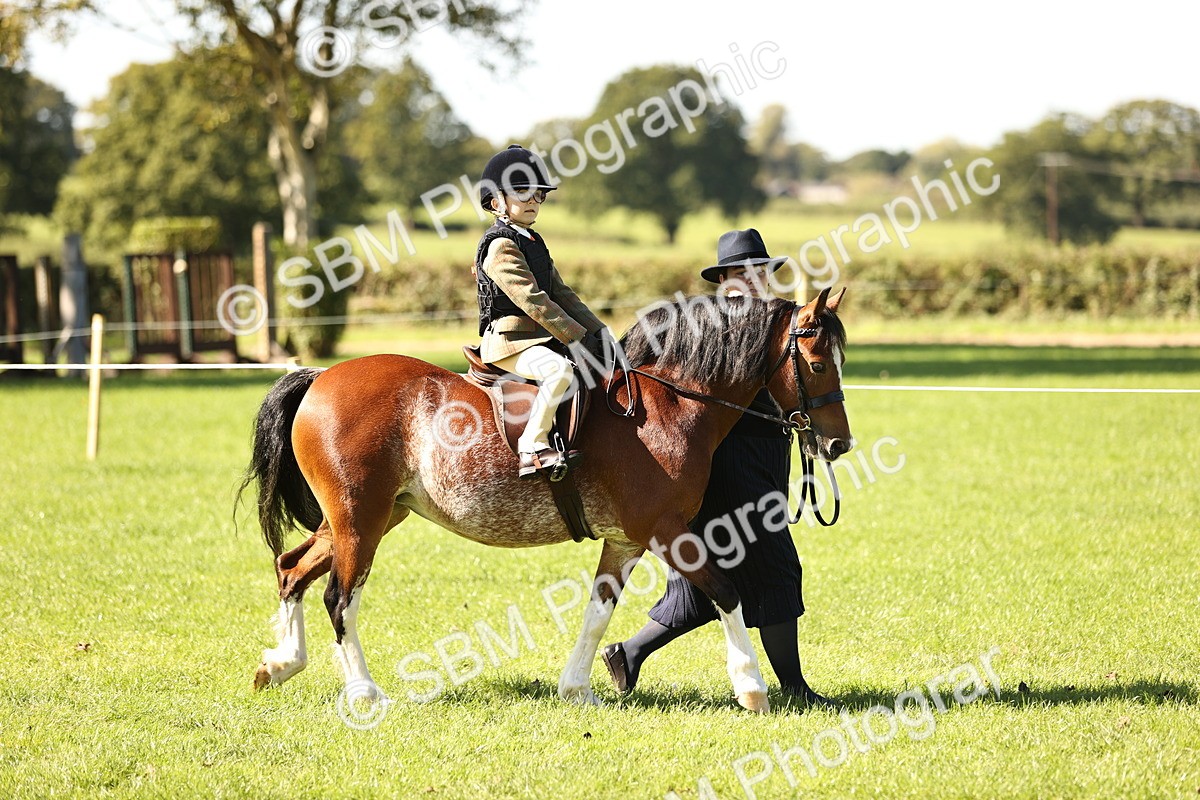 SBM_19199 - S3 - TSR Ridden Pony Showing