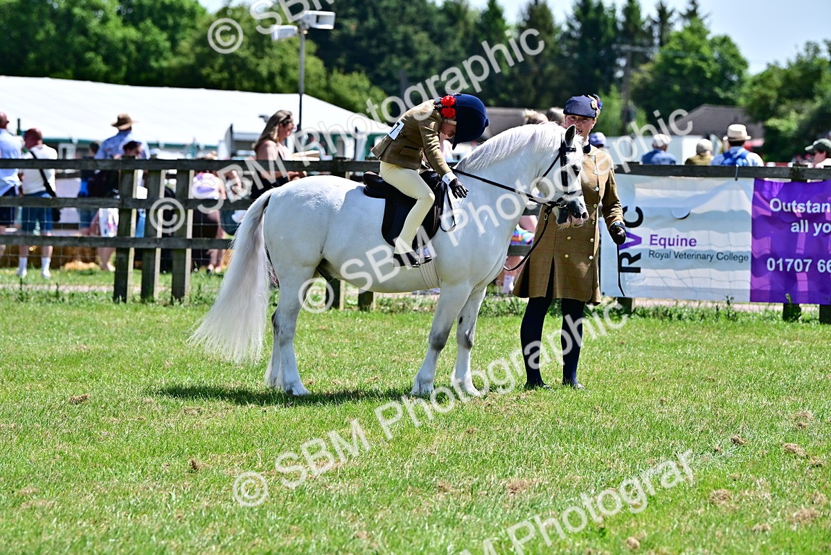 SBM_05889 - Class 59-60 - TSR M&M  Lear Rein and First Ridden Amateur of the year