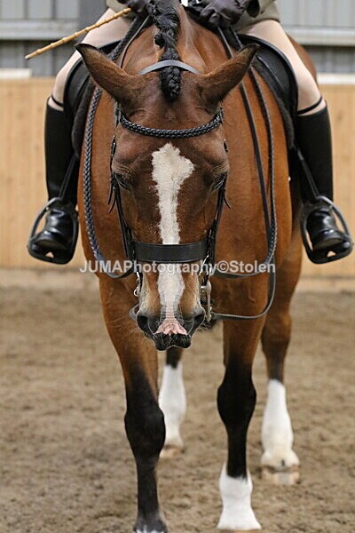 SIAL2906 - Sunday 14th Ridden
