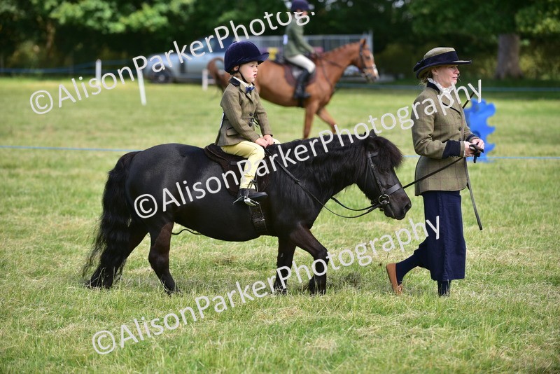 20260614-1134 - Class 11a - Lead Rein Pony (Unplaited)