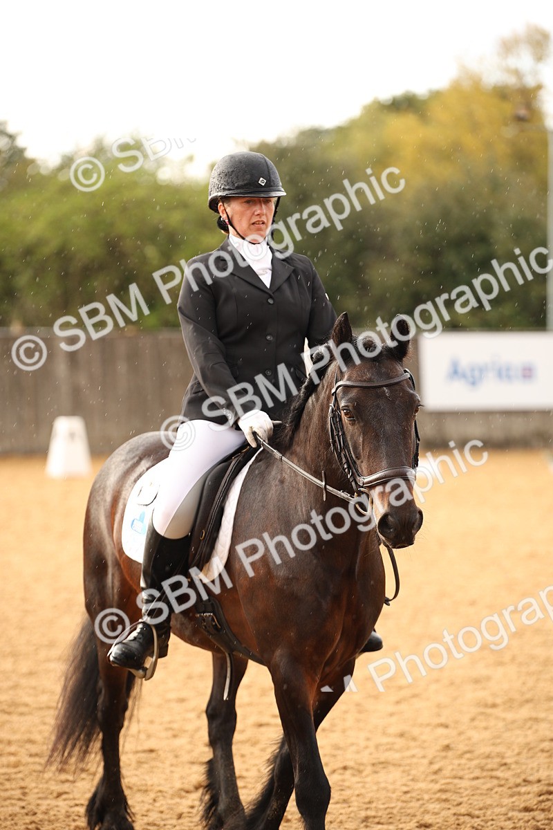 SBM_12401 - D3 Small  Tour Championship Intro A