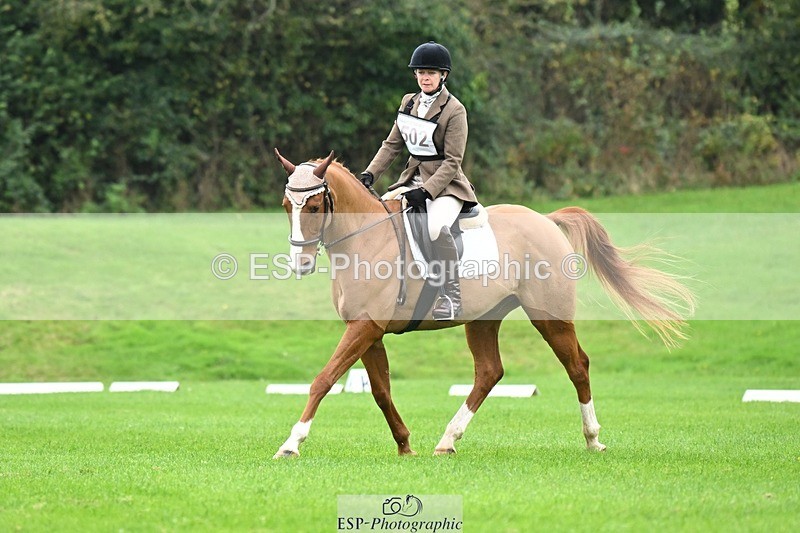 241024-105656-03102 - 502-Alison.Stewart-RICO.III