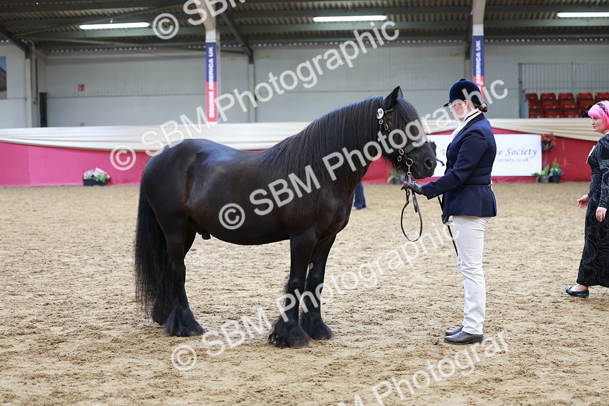 SBM_17352 - Class 951 - M&M IH Supreme Final