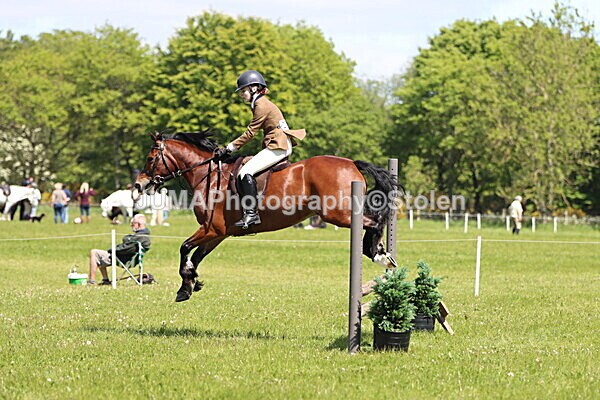 IMG_3738 - Working Hunter