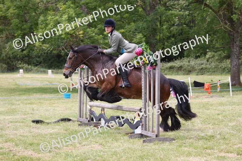 20260614-2930 - Class 22 - Open Working Hunter