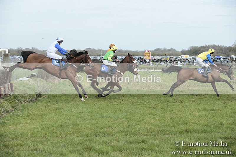 PtP 230319 301 - VWH Hunt Siddington Point-to-Point Racing 23/03/19