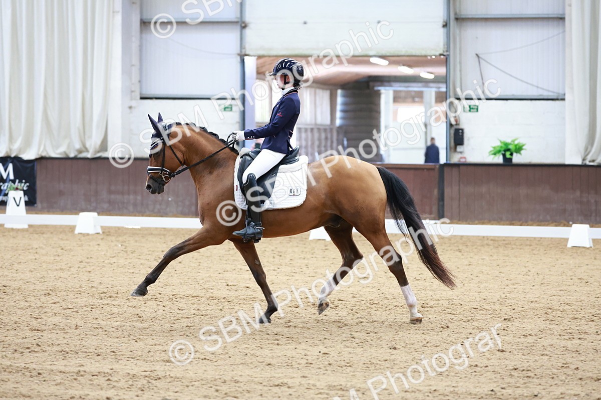 SBM_017275 - Class15 - FEI Pony