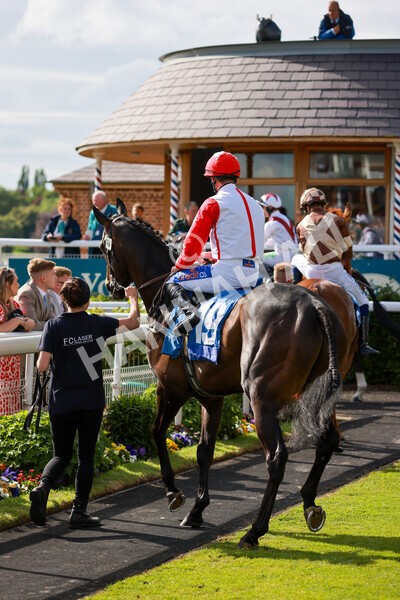 yr21052022r7-7 - Race 7: 5:15pm Reg Bond Always and Forever Stakes