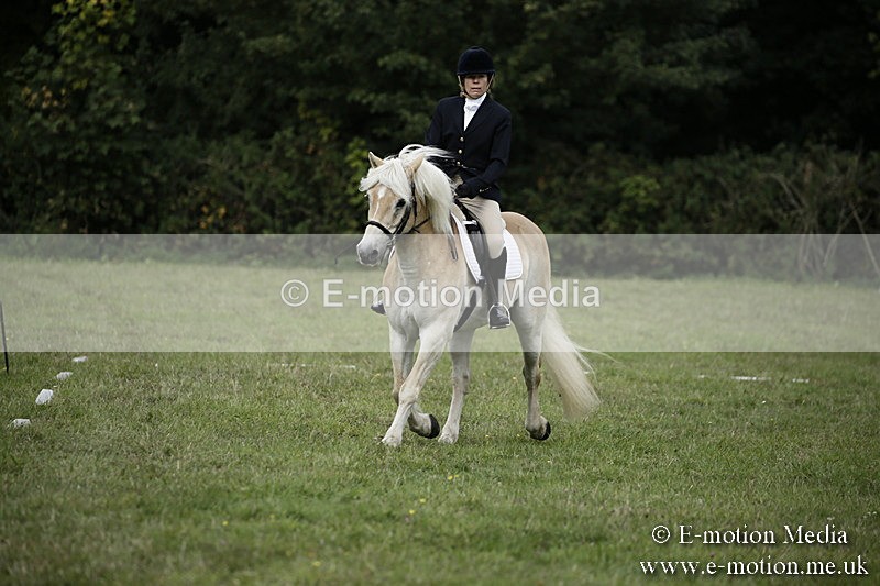 BVR090918 71 - BVRC Dressage and Show Jumping 09/09/18