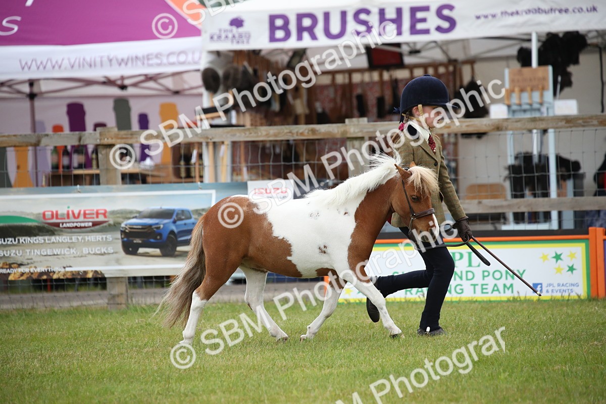 SBM_03884 - Class 23-25 - British Miniature Horse of the Year