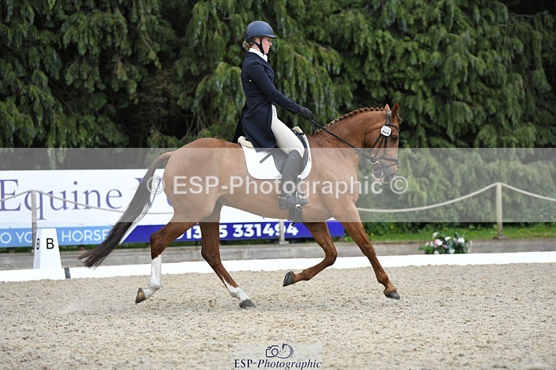 230525-144311-03169 - 323-CHESTNUT_BOBBY-Molly_Fletcher-WEDTrotUp+DR