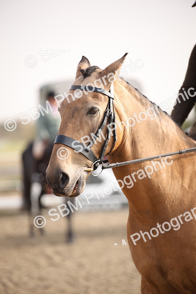 SBM_10245 - Class 402 Riding Club Horse