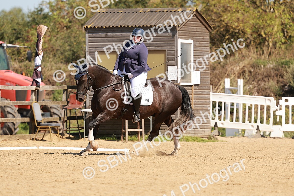 SBM_010885 - Class 3 - Prelim 2