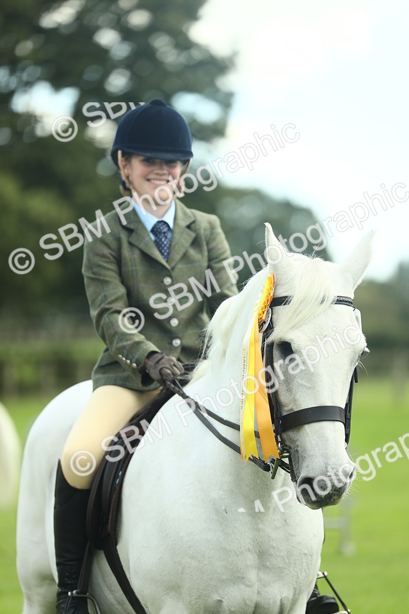 SBM_42230 - S29 - Novice & Newcomers Working Hunter Pony