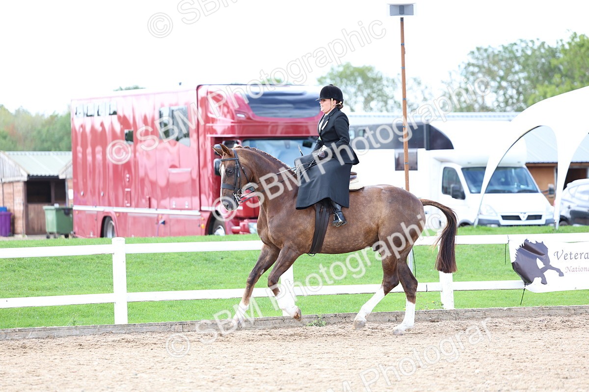 SBM_03207 - Class 22 - SSA Equitation (any age)