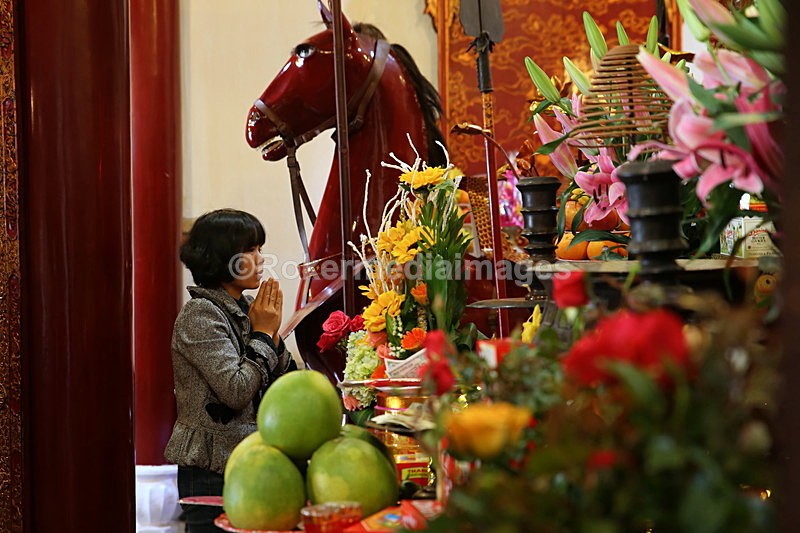 VIET_1196 - Vietnam 2017