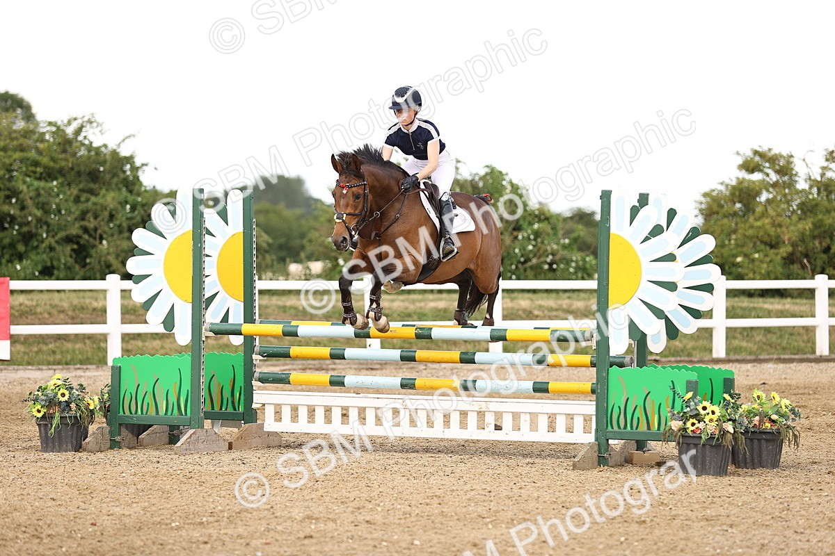 SBM_002581 - Class 19 - Nupafeed Supplements Senior Discovery - 1.00m