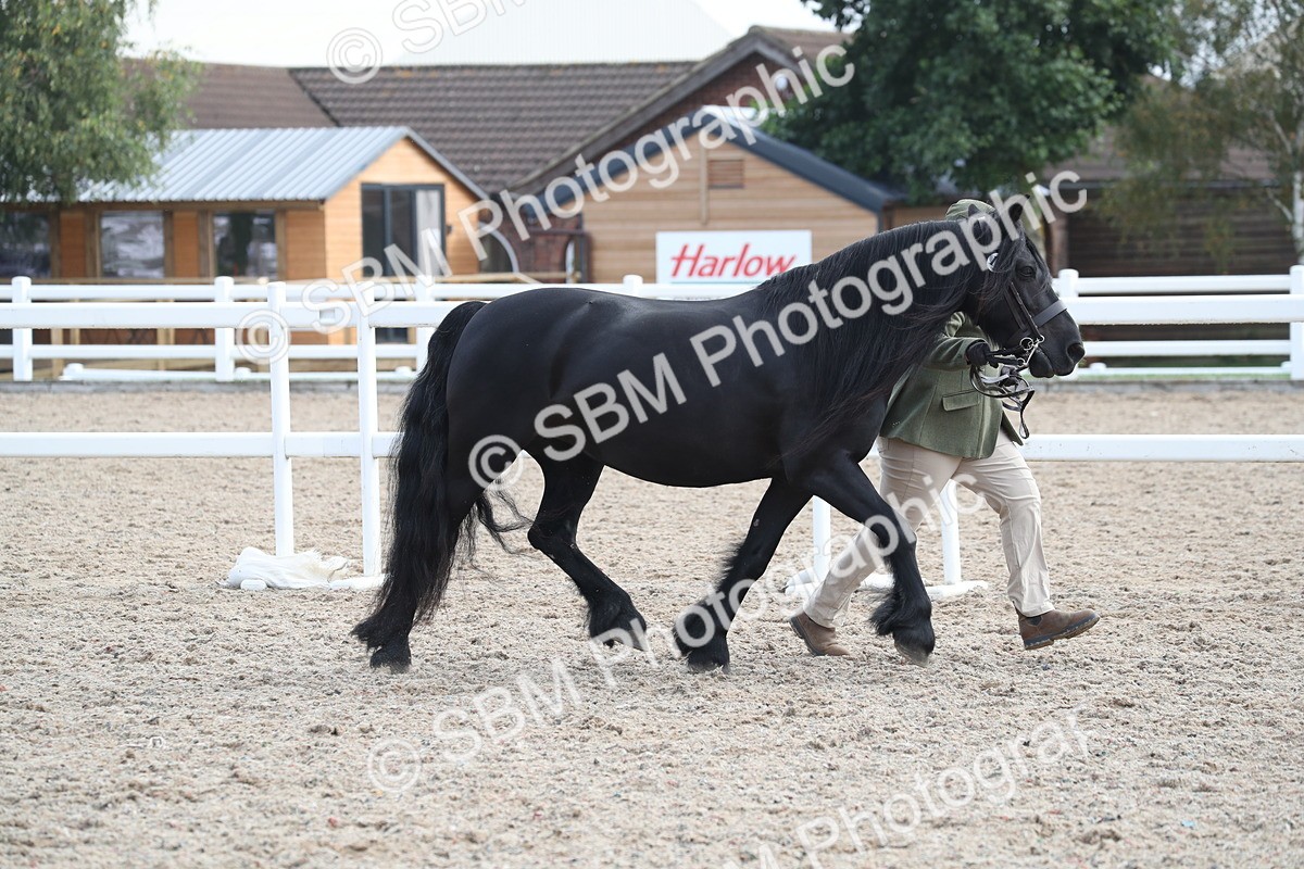 SBM_23277 - Class 606 - 2025 Area - IH Pre Vet