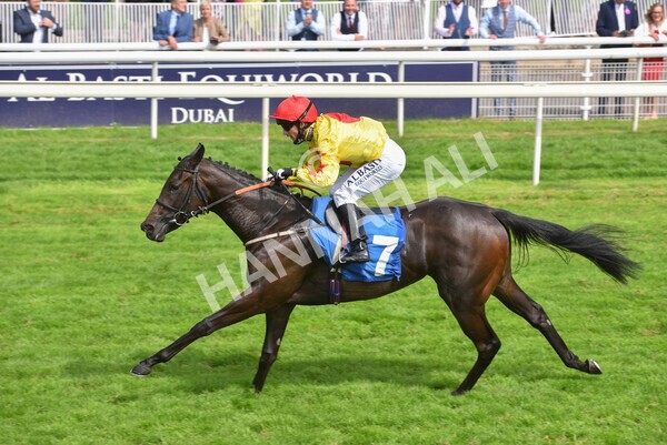 yr10072021r4-18 - Race 4: 3.30pm John Smith's Nursery Stakes