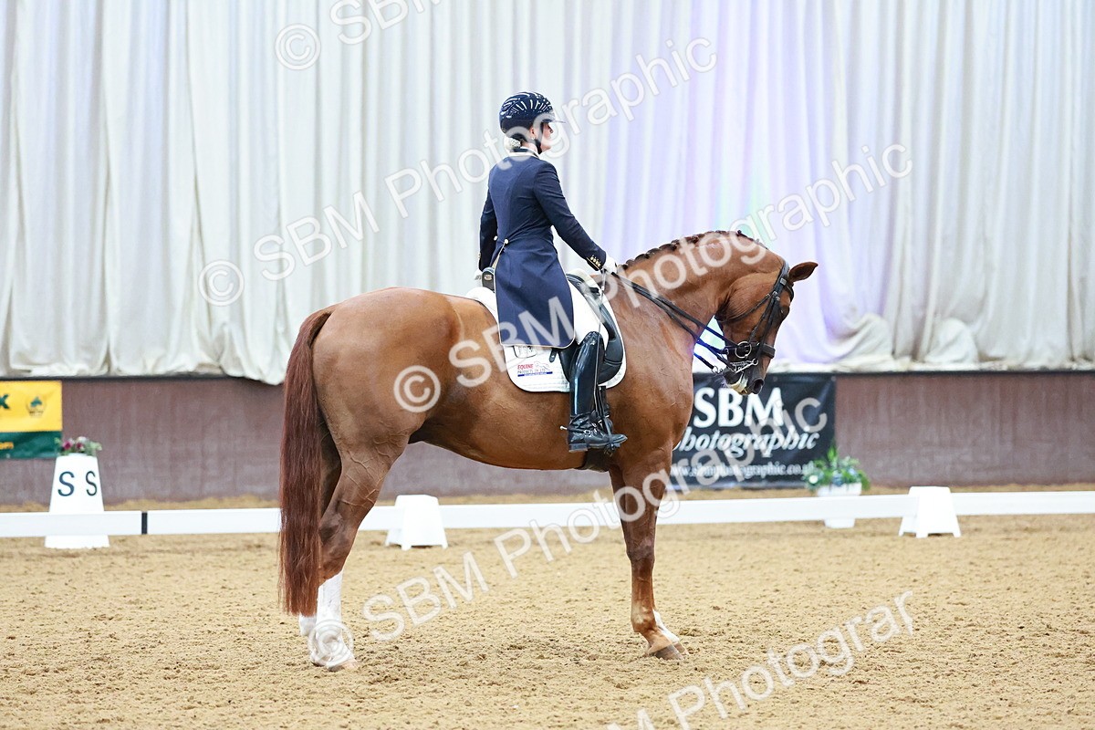 SBM_007801 - Class 9 - FEI INT II - 16.54.17.57