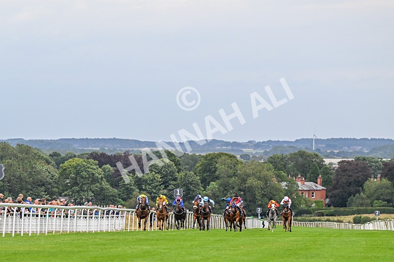 150824-Race 3-Go On Rosie-4100 - Race 3