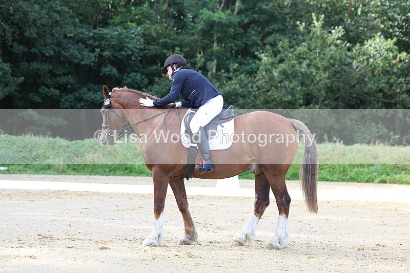 3E7A2285 - Class 1: Intro 4 2024 section A