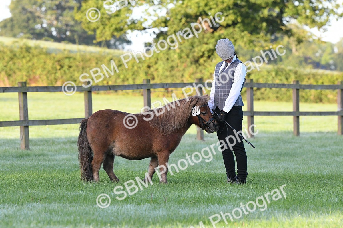 SBM_32550 - S15 - Condition & Turnout In Hand
